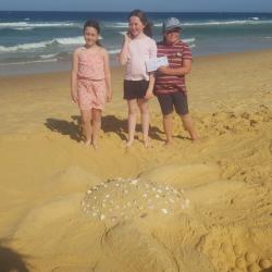 Sandcastle Building Competition