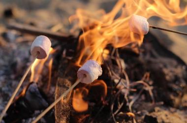 Image of Campfires